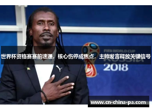 世界杯资格赛赛前速递，核心伤停成焦点，主帅发言释放关键信号